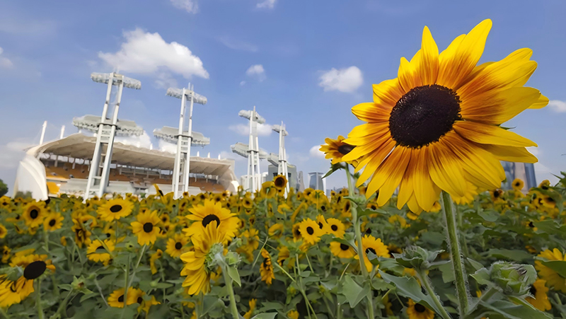 &ldquo;女子58页PPT举报管培生男友&rdquo;，明智吗？